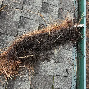 gutter cleaning service