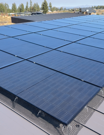 No more pigeons are getting under these panels